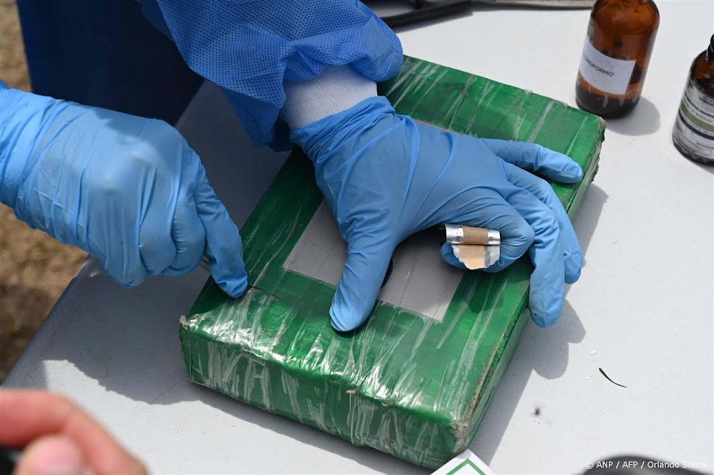 Vooral het buitenland verdient aan Nederlandse cocaïnehandel