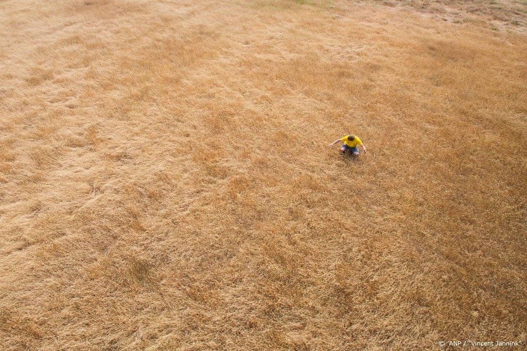 Bijna helft Nederlanders maakt zich zorgen over droogte