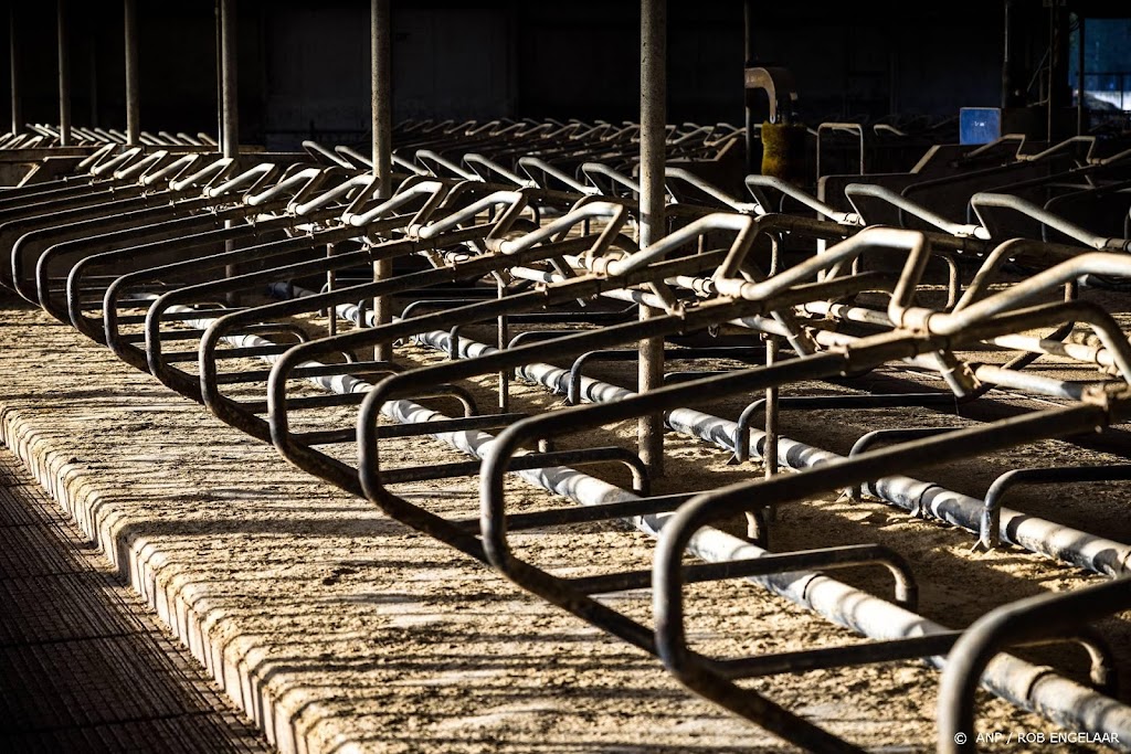10-puntenplan om stikstofvertraging energietransitie te voorkomen