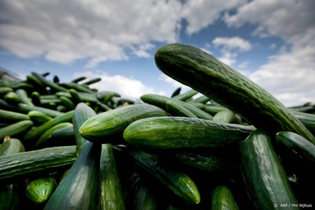 'Groente en fruit met enige vertraging naar Verenigd Koninkrijk'