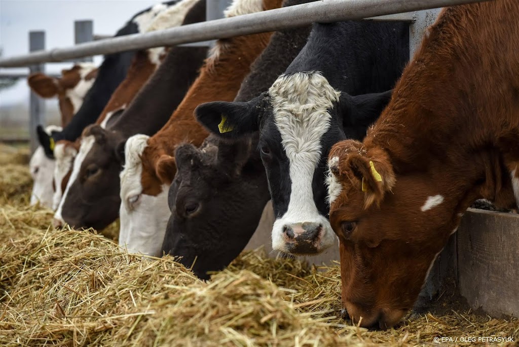 Boer zoekt koper, maar interesse valt tegen