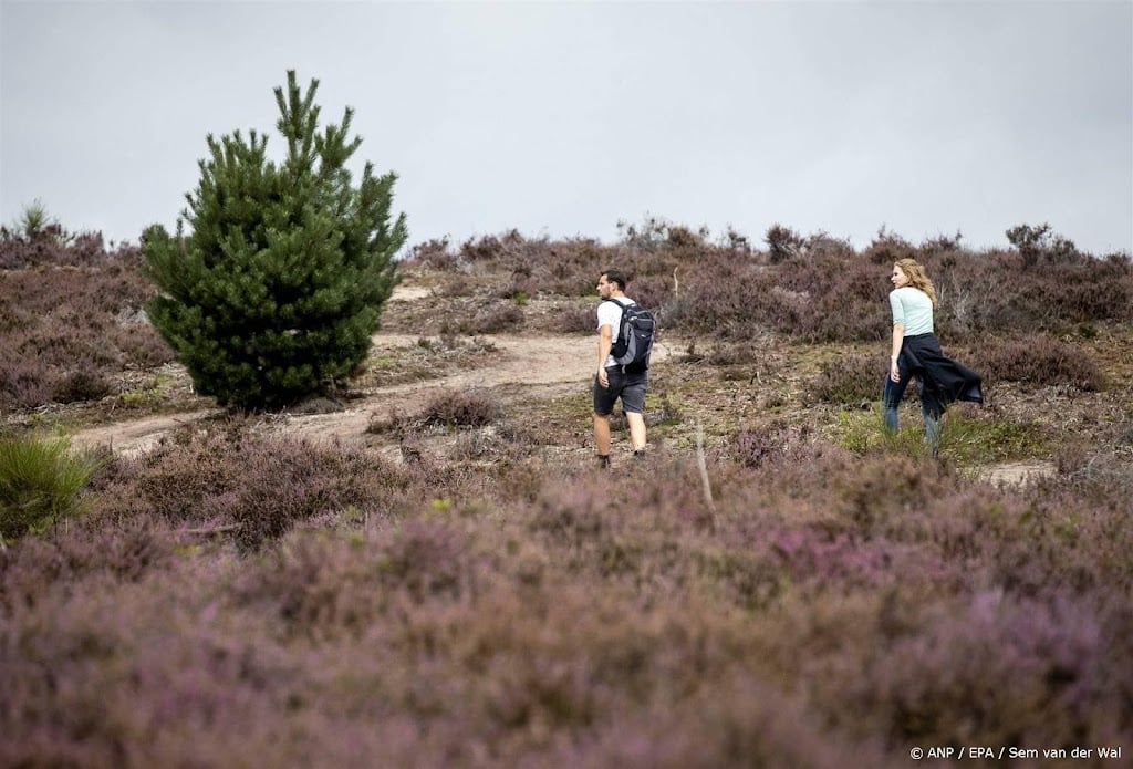 Natuurmonumenten wil geld voor gebruik natuur tijdens wielerkoers