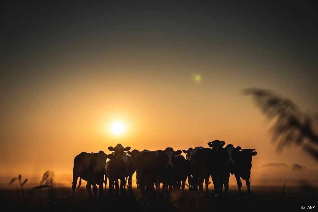 NVWA: extra toezicht op dierenwelzijn bij hoge temperaturen
