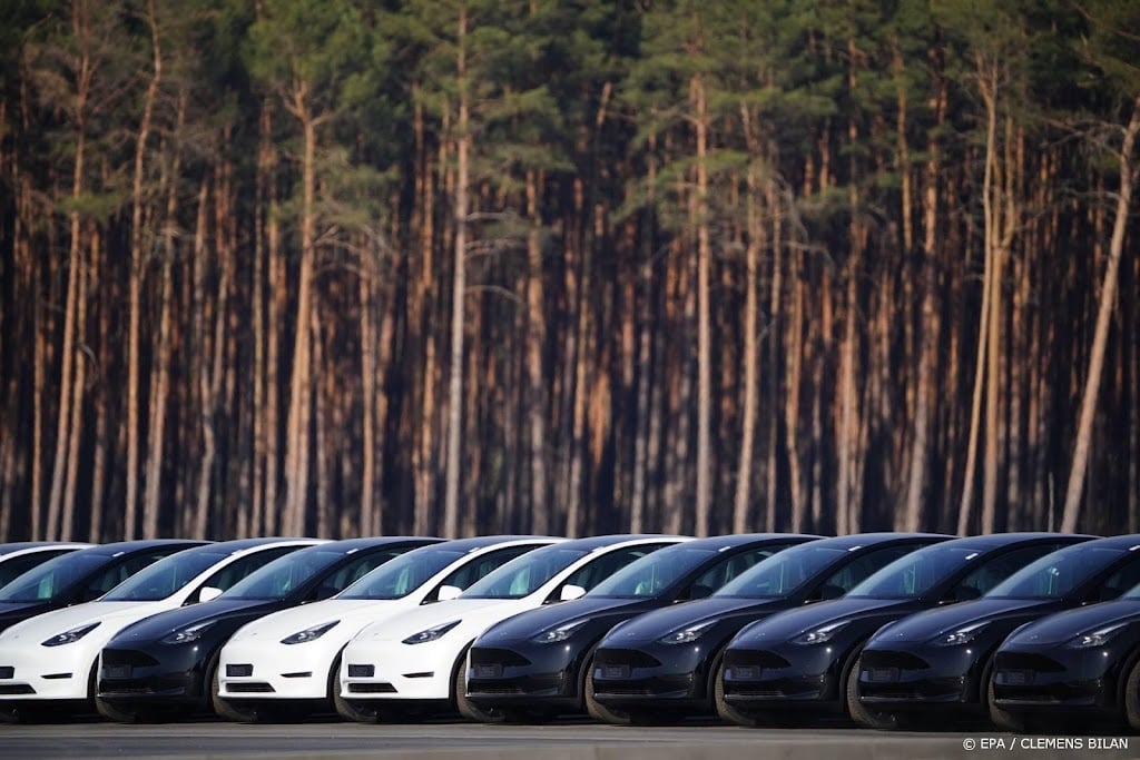 Musk: nieuwe Tesla-fabrieken Berlijn en Texas verliezen miljarden