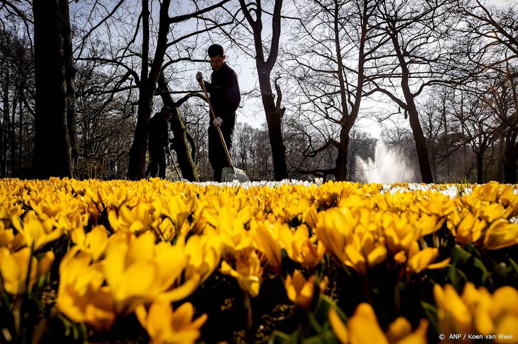 Keukenhof opent deuren zonder restricties na twee coronajaren
