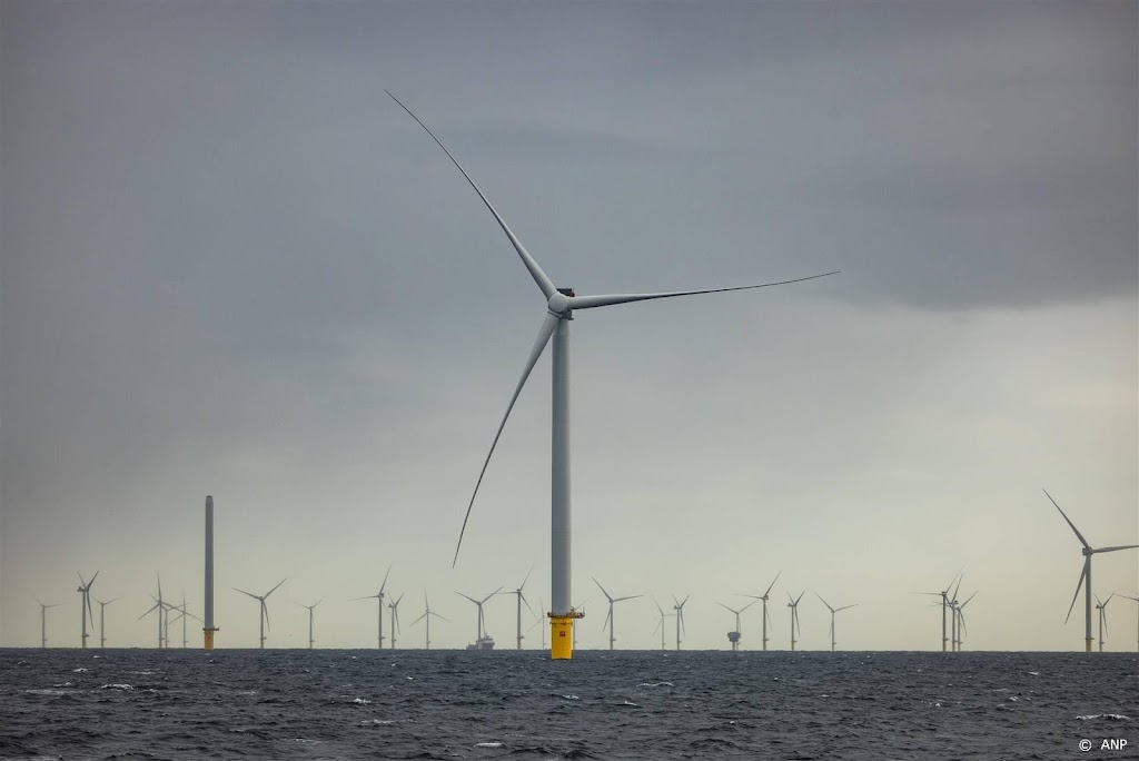 Bruinvisonderzoek nodig voor windpark in zee bij IJmuiden