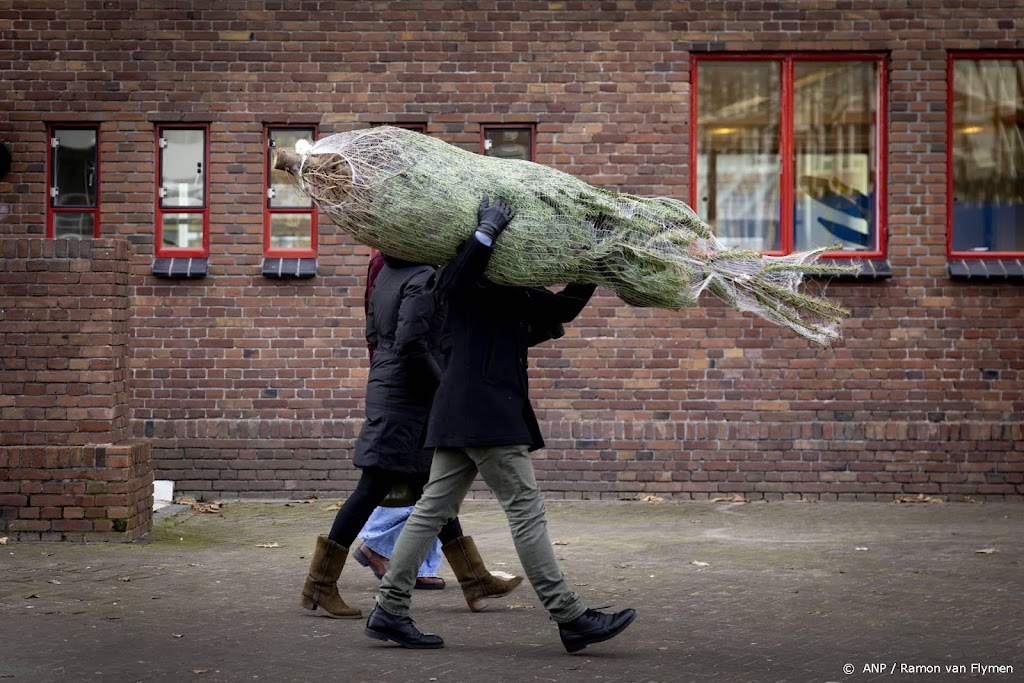 Weer.nl verwacht koude Kerstmis maar zachte jaarwisseling