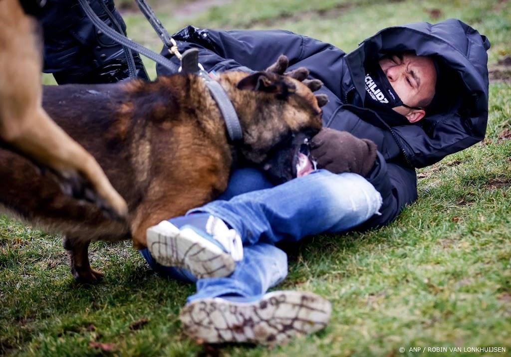Dierenorganisaties willen inzet honden en paarden voorkomen