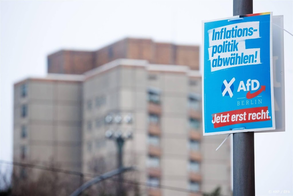 Grote Duitse ondernemersorganisatie hekelt plannen AfD