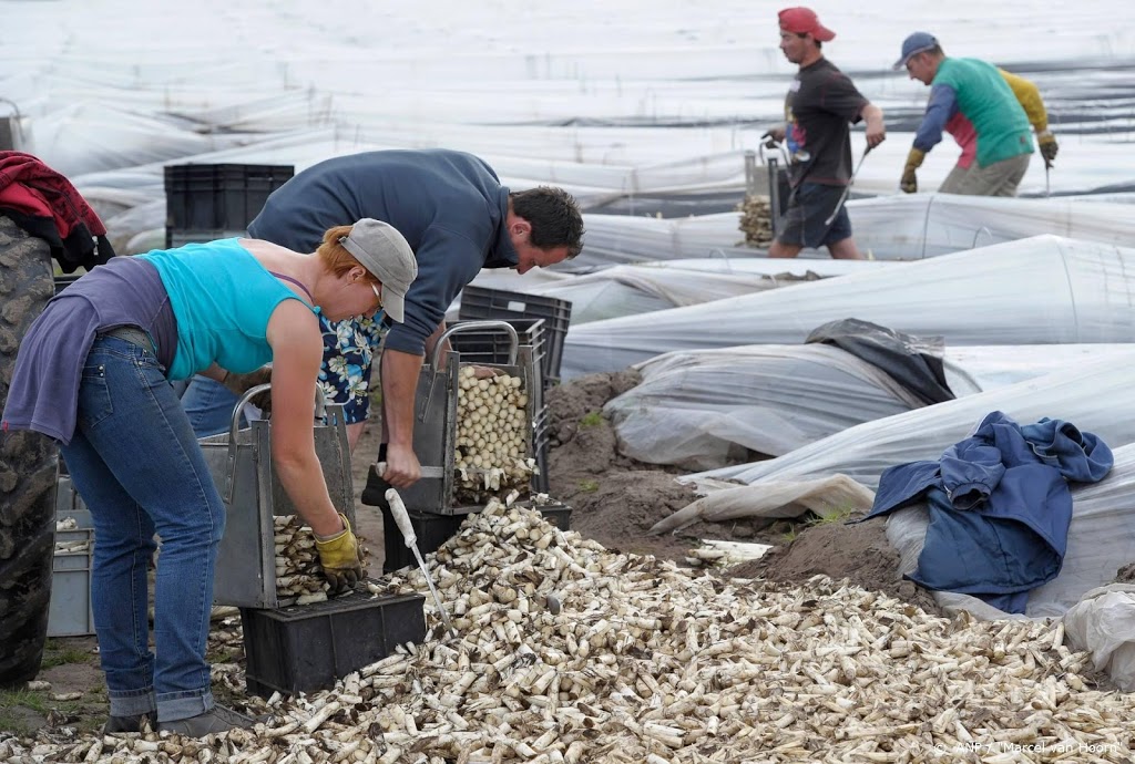 Landbouw werft studenten, schoonmakers en horecapersoneel