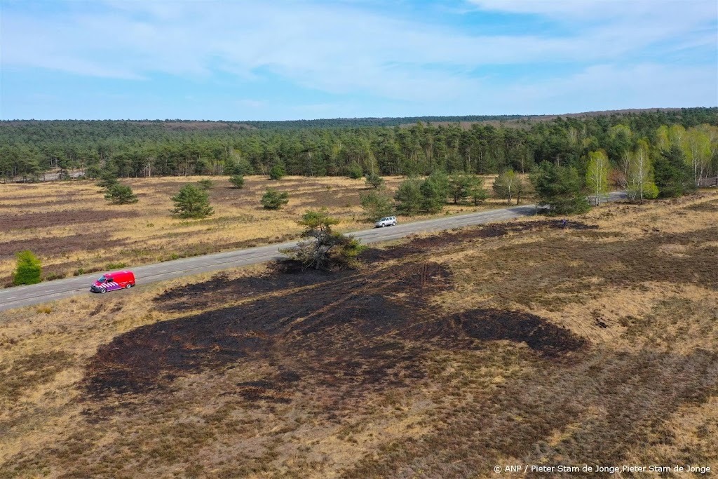 Autoriteit nog iets somberder over natuur Veluwe dan provincie