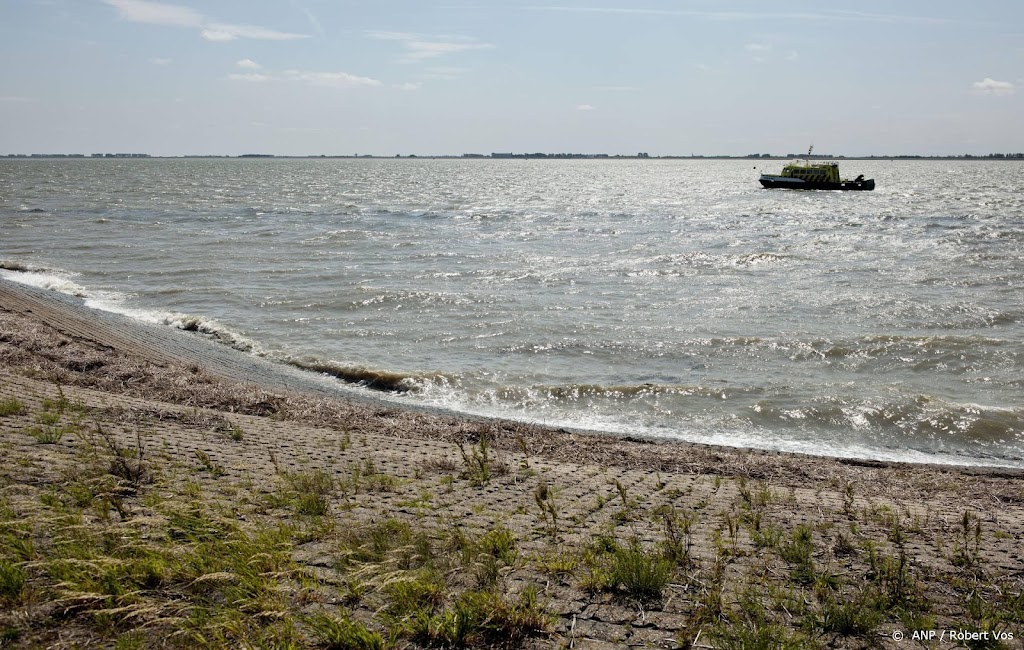 Eet zo min mogelijk vis uit Westerschelde vanwege PFAS, zegt RIVM