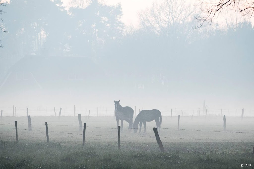 Kans op flinke mist en nachtvorst in november