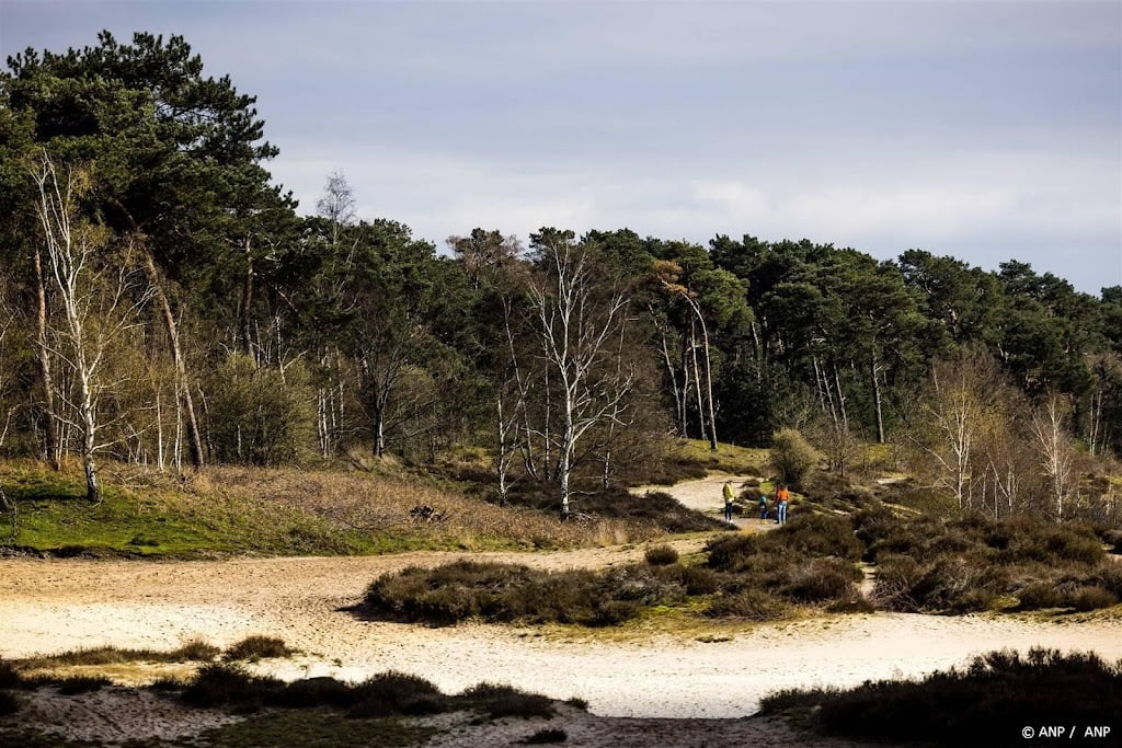Advies: natuur lijdt nog steeds onder jarenlange verwaarlozing