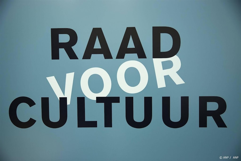 Raad wil één cultuurfonds voor evenwichtiger aanbod en subsidie