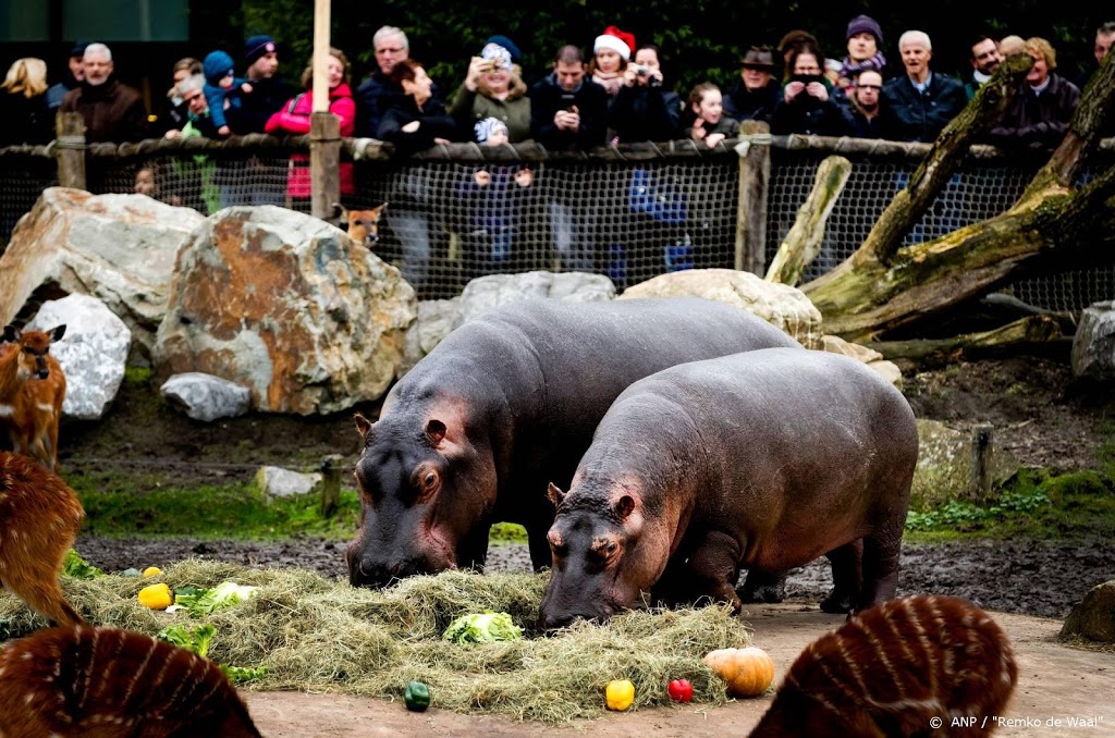 Tien dieren dood door brand in Safaripark Beekse Bergen