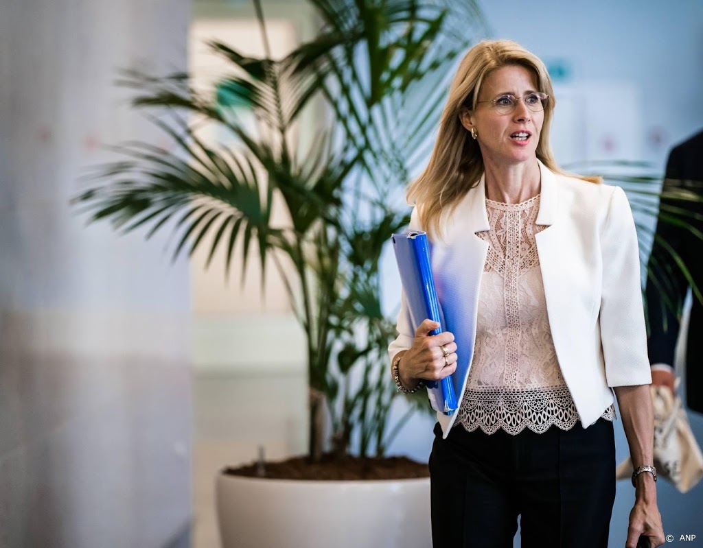Keijzer: ik kan Omtzigt aan