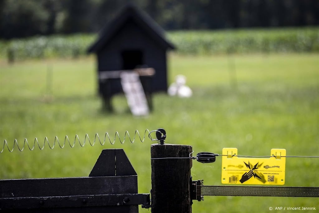 Nog twee aangiftes om doodschieten wolf in Wapse