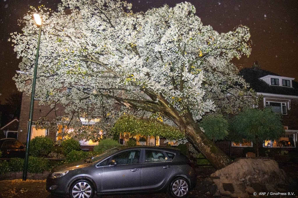 Brandweer Zeeland druk met storm Odette