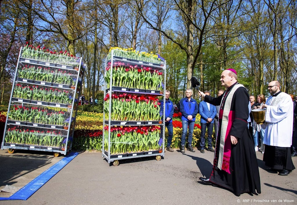 Waarschijnlijk toch Nederlandse bloemen op Sint-Pieterplein Rome