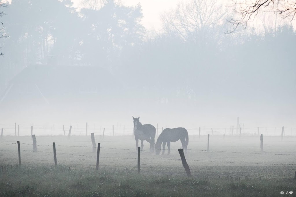 KNMI waarschuwt voor dichte mist in hele land