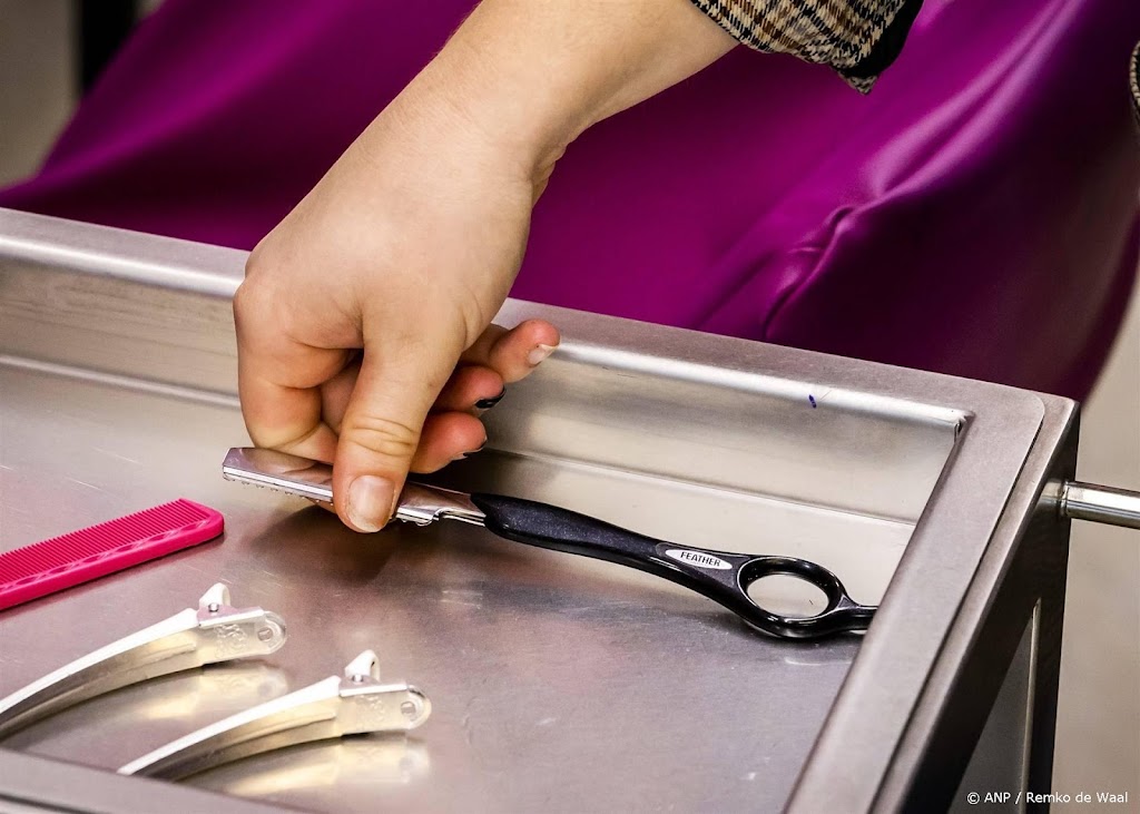 Regeling kennismigranten werkt niet, stelt chef Arbeidsinspectie