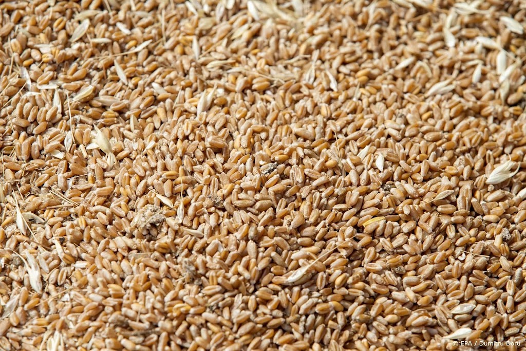 Moskou: voor graandeal moeten obstakels Russische export snel weg