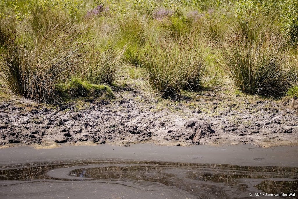 Grondwaterstanden herstellen, maar nog niet terug naar normaal