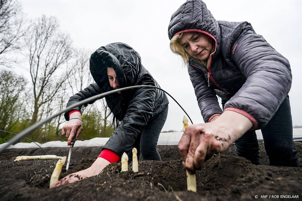 Meer Oekraïense vluchtelingen aan het werk, helft heeft nu baan