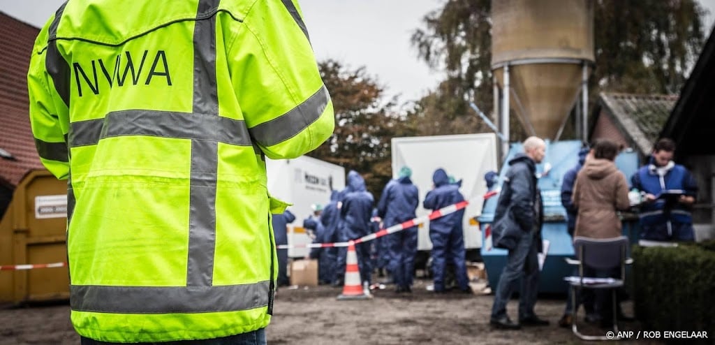 5000 fazanten afgemaakt na vaststelling vogelgriep in Achterhoek