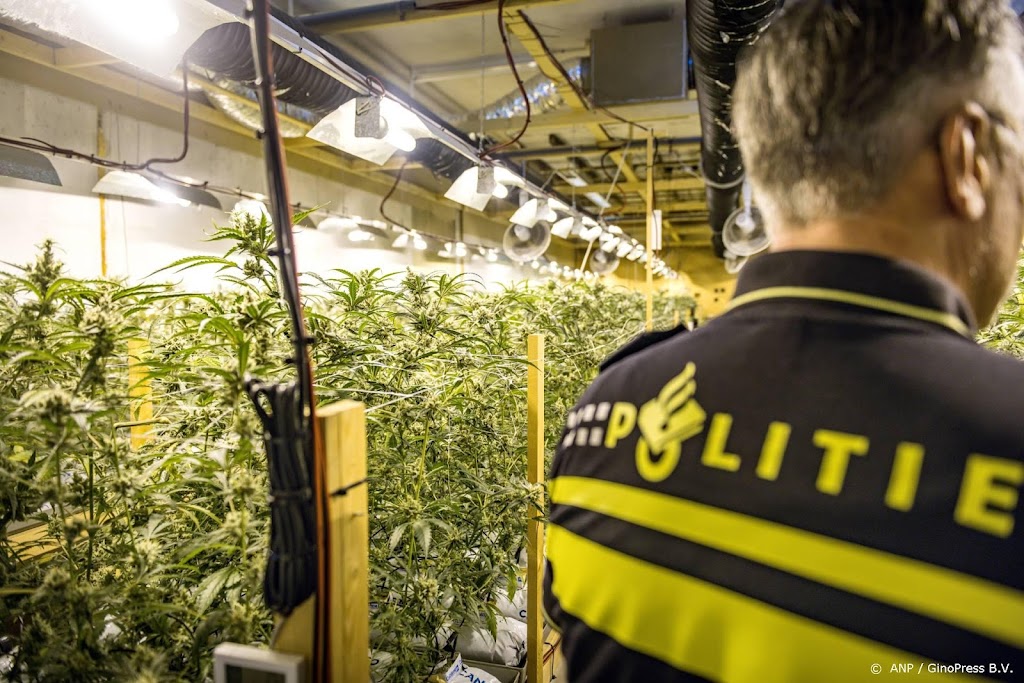 Politie doorzoekt negen panden en vindt hennep, geld en wapens
