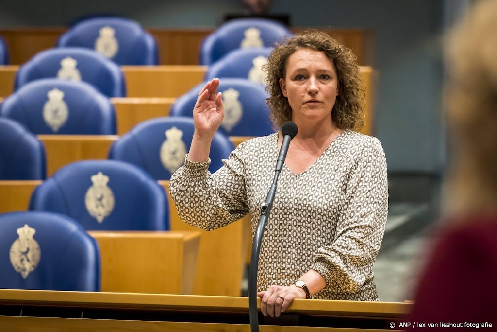 VVD en SP: energiebedrijven horen in Kamer over prijsverhoging