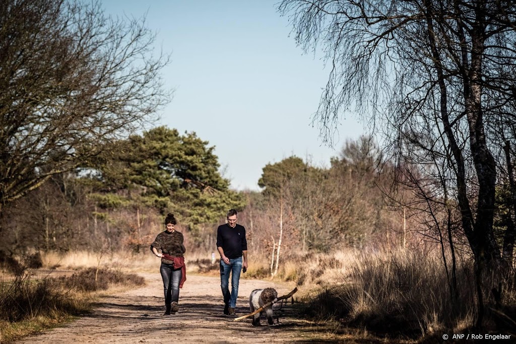 Zeldzaam zonnige en droge november na sombere oktober