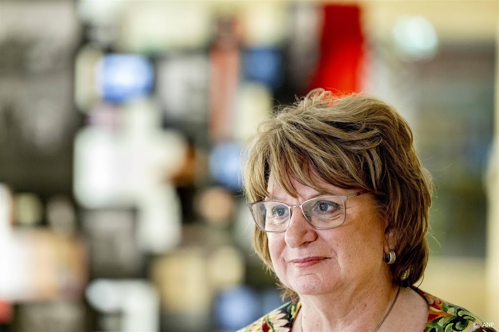 Hamer: arbeidsinspectie zou veranderingen ITV moeten controleren
