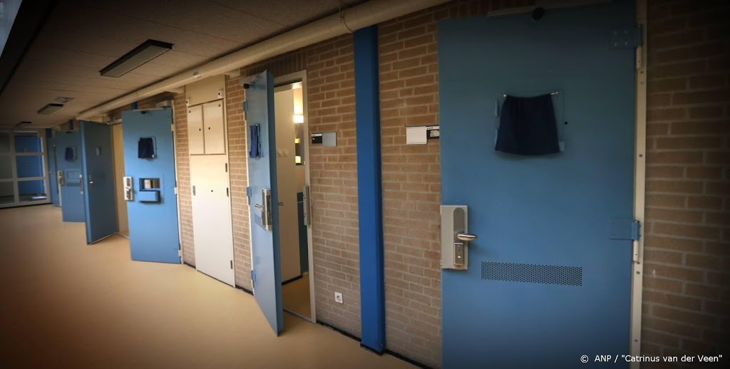 Celstraf voor stelende coronadreiger