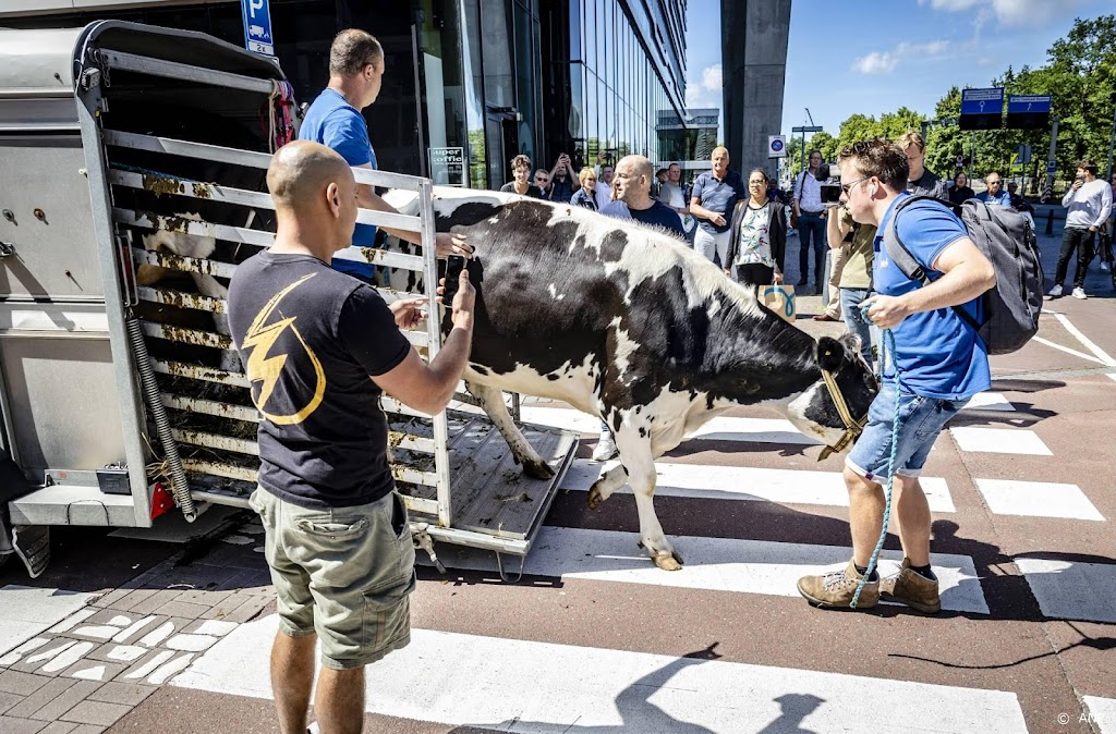 LTO-voorzitter pleit opnieuw voor waardige boerenacties