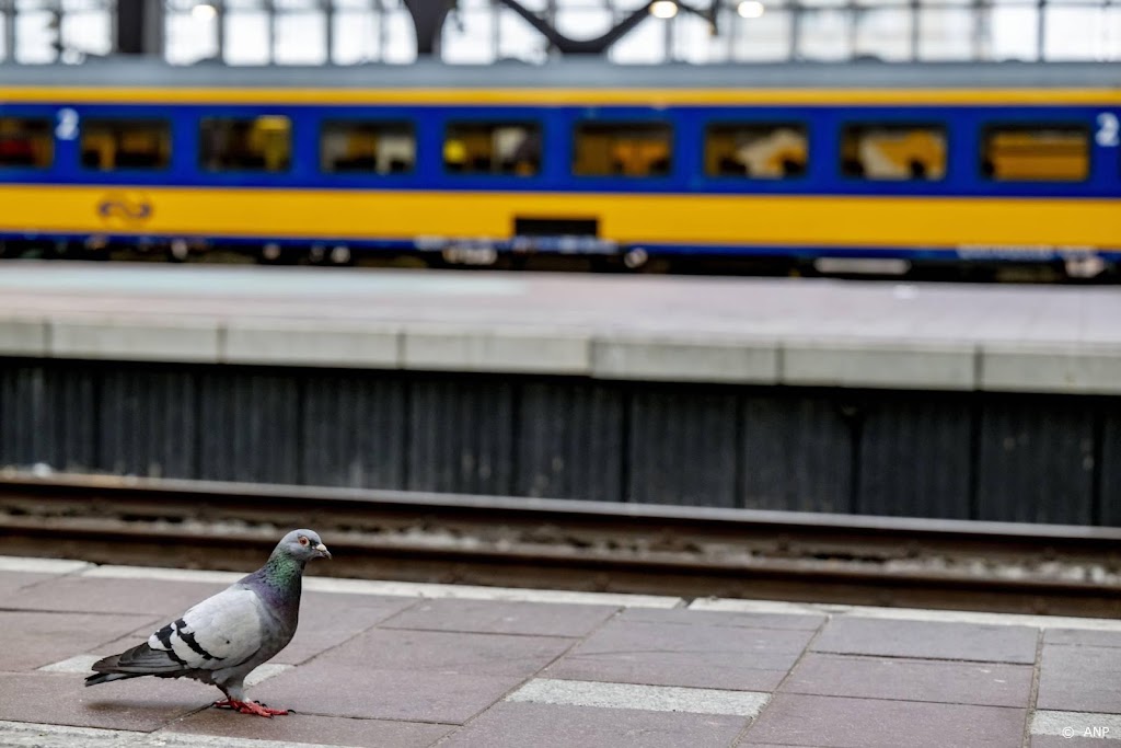 Minder treinen in hele land door staking NS-personeel N-Holland