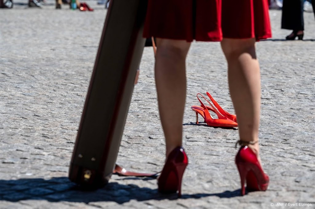 Veilig Thuis en Vrouwenopvang: meer nodig tegen femicide