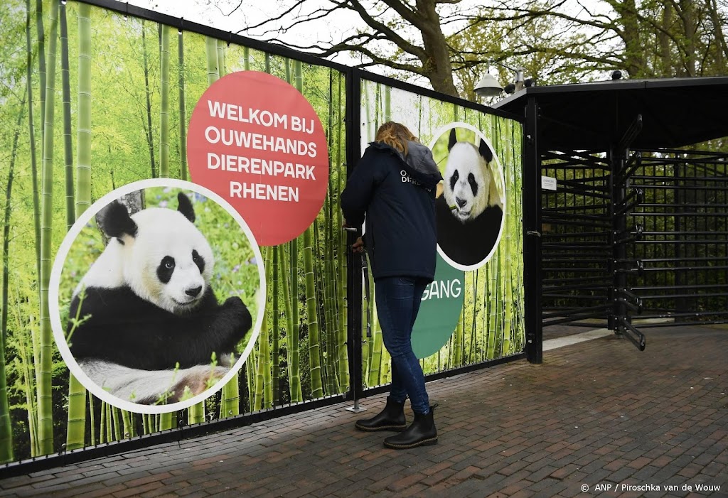 Mishandelde Oekraïense beren in Ouwehands Dierenpark voor herstel