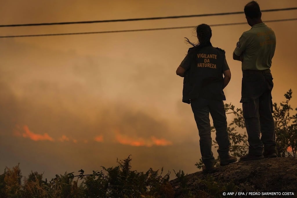 Advies: verklein bosbrandrisico met maatregelen in de natuur zelf