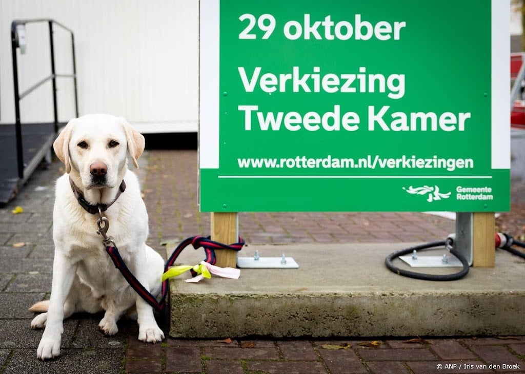 Ipsos: opkomst tot nu toe iets lager dan bij vorige verkiezingen