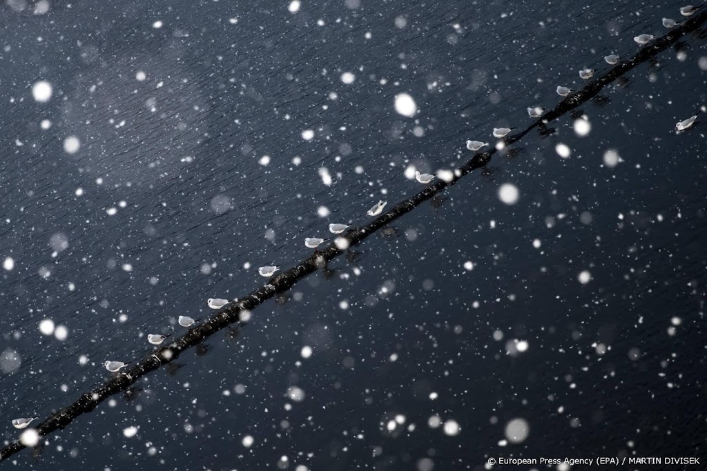 Koude jaarwisseling met kleine kans op mist en sneeuw