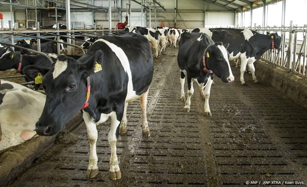 Stikstofoverschot in landbouw schommelt, in 2022 stijging te zien