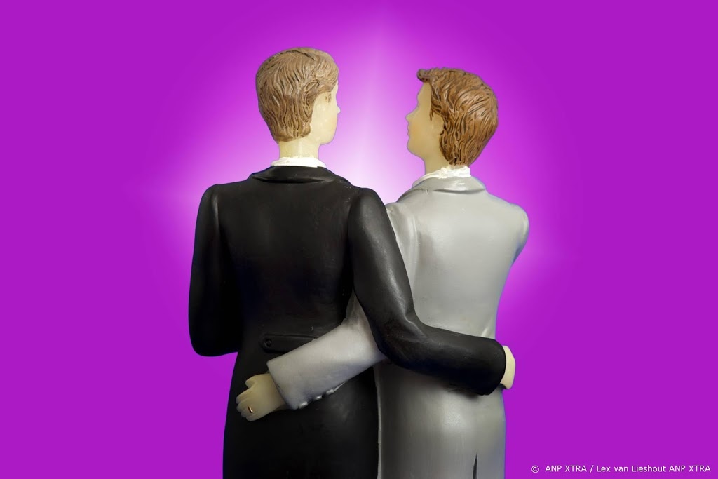 Twintig jaar homohuwelijk: 20.000 bruiloften homo's en lesbiennes