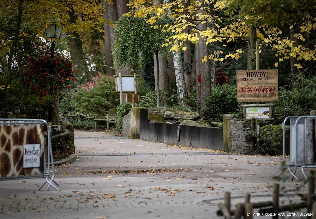 Wolf ontsnapt in DierenPark Amersfoort