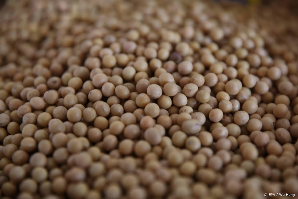 Lap grond voor teelt sojabonen verdubbelt in omvang
