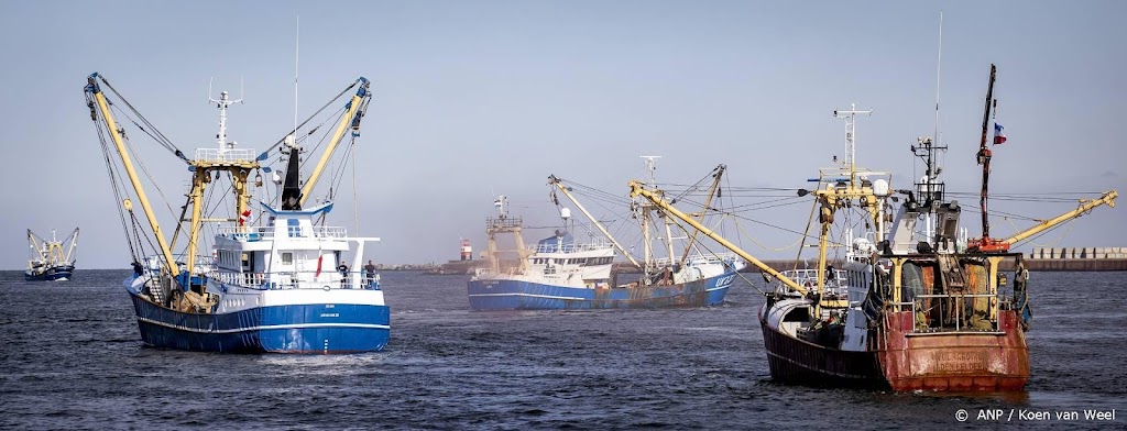 Nederlandse kottervisserij draait fors verlies