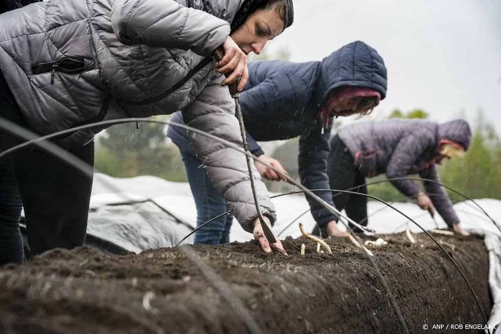 Ruim 1 op 3 Oekraïense vluchtelingen vond betaalde baan