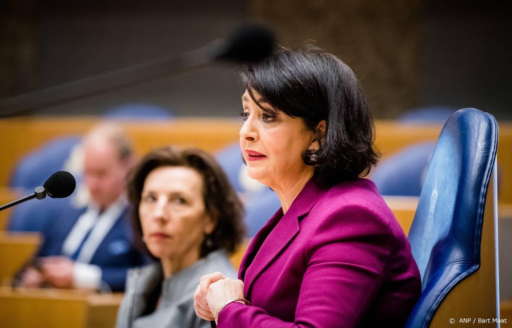Voorzitter moet Kamer helpen regering scherp te controleren