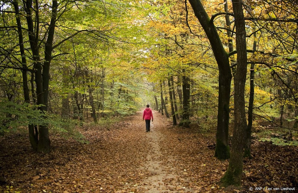 Vermindering stikstof 'zeer urgent' voor negentien soorten natuur